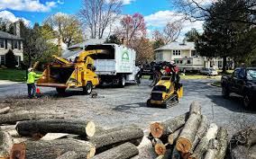 Best Firewood Processing and Delivery  in Lake Ronkonkoma, NY