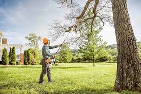 Best Soil Testing and Treatment  in Lake Ronkonkoma, NY