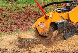 Best Seasonal Cleanup (Spring/Fall)  in Lake Ronkonkoma, NY